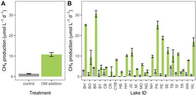 Lake Sediment Methane Responses to Organic Matter are Related to Microbial Community Composition in Experimental Microcosms